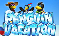 Penguin Vacation