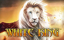 White King